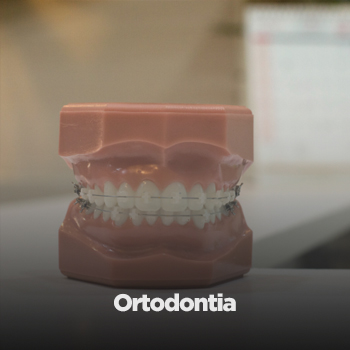 ortodontia